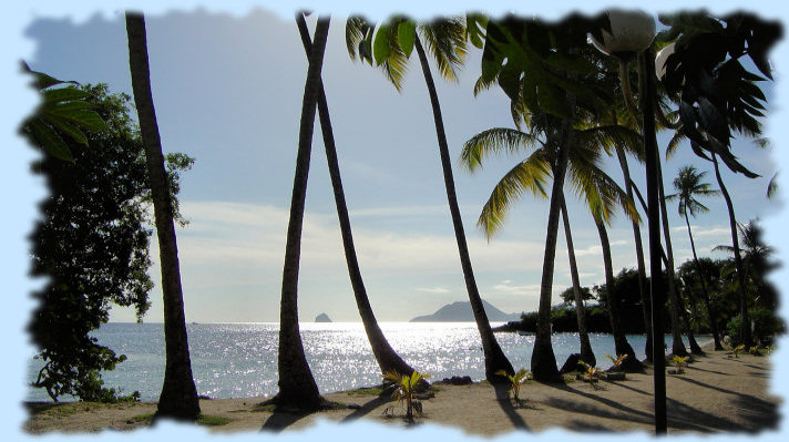 Location de villas de standing Martinique (version franaise)