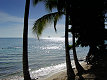 location villa martinique le Diamant